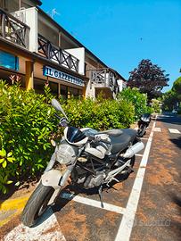 ducati Monster 696