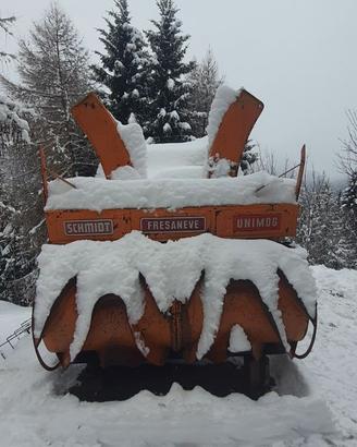Fresa Neve