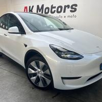TESLA Model Y Long Ranger Dual Motor AWD
