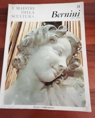 Bernini Fabbri Editori