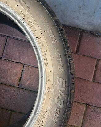 Gomme invernali 