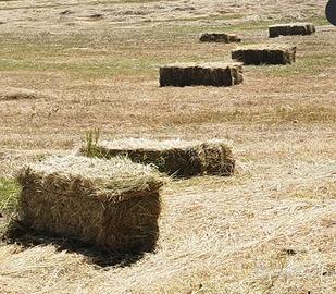 Balle fieno