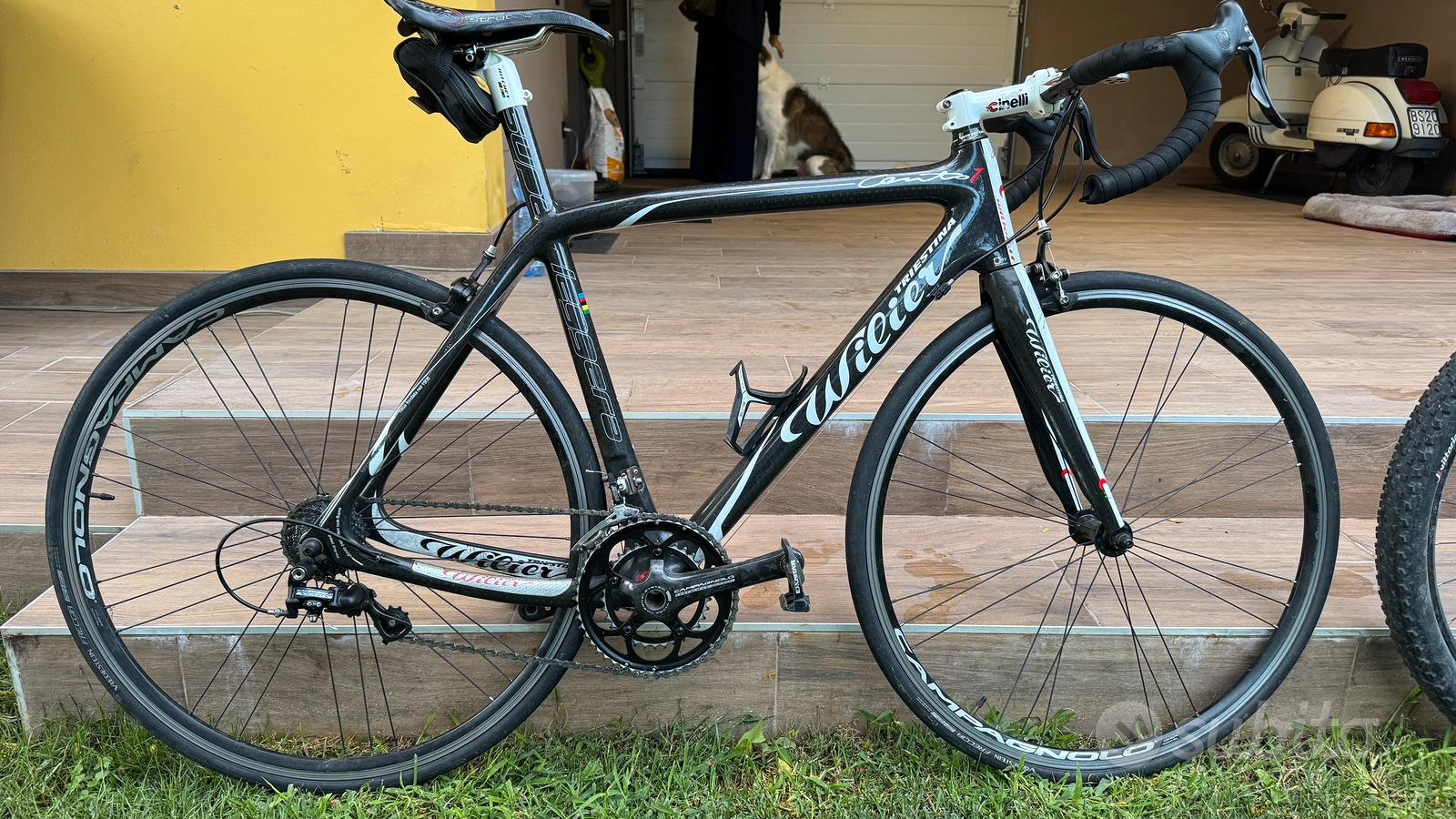 Wilier Triestina Superleggera carbonio campagnolo Biciclette In