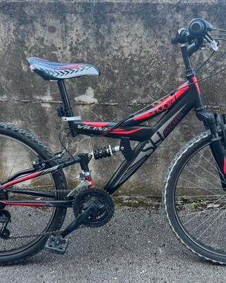 Bicicletta Vicini 24”
