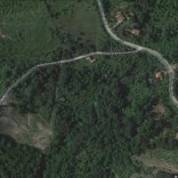 Terreno agricolo/seminativo, arboreo