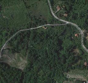 Terreno agricolo/seminativo, arboreo