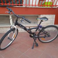  bicicletta 