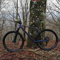 TREK PROCALIBER 6