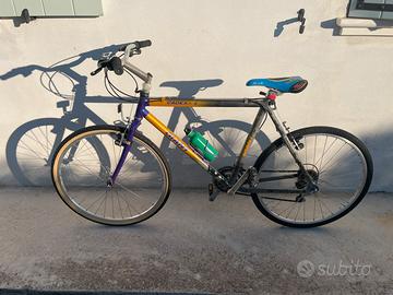 Bicicletta da uomo
