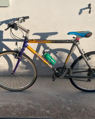 Bicicletta da uomo