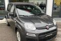 FIAT Panda 1.2 Easy NEO PATENTATI!