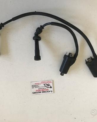 Coppia Bobine sv650 99 02