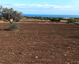 Terreno Polignano a mare edificabile