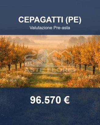 Immobile in asta di 4024 m² a Cepagatti