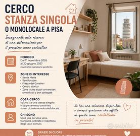 STANZA A PISA