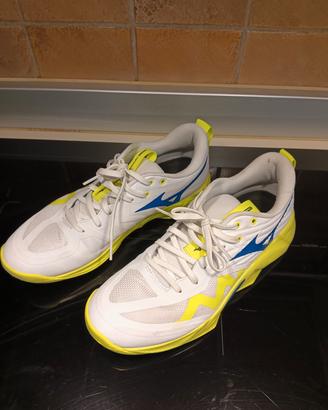 scarpe Mizuno momentum low 41