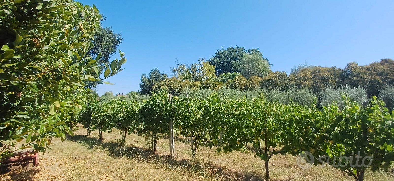 Terreno Edificabile - Vista 4