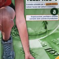 TELEPASS PLUS ECONOMIA AZIENDALE PER IL  II  BIENN