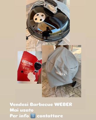 Barbecue weber a carbonella