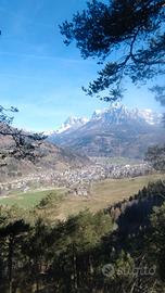 Estate a Primiero in tutto relax