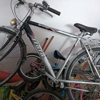 Atala originale storica 30