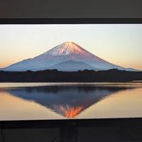 Monitor LG 24MP55 IPS Led nero