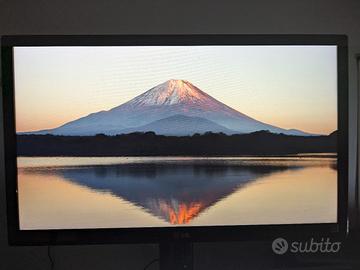 Monitor LG 24MP55 IPS Led nero