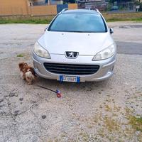 peugeot 407 sw 2ooo turbodisel