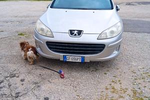 peugeot 407 sw 2ooo turbodisel