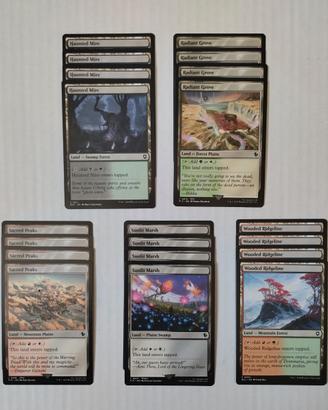 20 Lands 2 basic lands types Magic the Gathering M