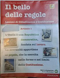 IL BELLO DELLE REGOLE (LEZIONI DI CITT. E COST.)