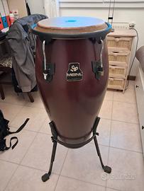 Conga Meiln 11.5