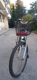 bici elettrica 
