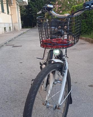 bici elettrica 