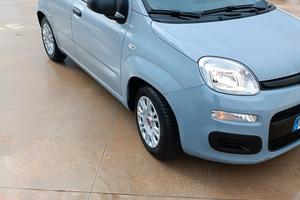 panda hibrid 1000 benzina anno 2021 