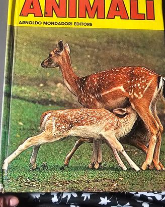 il grande libro degli  animali