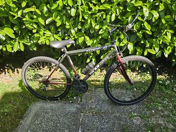 Mountain bike classica Alcotan