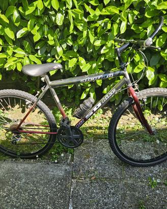 Mountain bike classica Alcotan