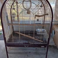 Gabbia per pappagalli 