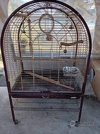 Gabbia per pappagalli 