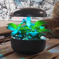 Plantui Smart Garden 6 - Grigio