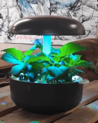 Plantui Smart Garden 6 - Grigio