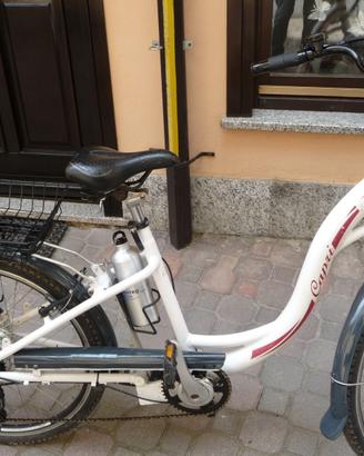 bicicletta in alluminio