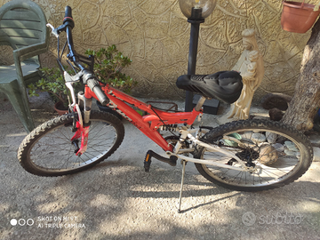 Bicicletta con doppio ammortizzatore