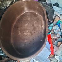 N.4 cucce per cani taglia gigante