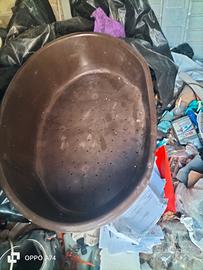 N.4 cucce per cani taglia gigante