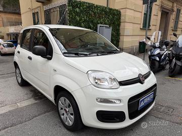 Fiat Panda 1.2 Easy Benzina 69CV euro6d 08/2019