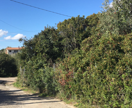 Splendida vista San Camillo