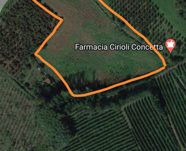 Terreno agricolo in Val d'Assano