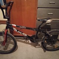 bicicletta per ragazzi 